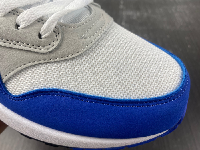 air max 1 anniversary am10703