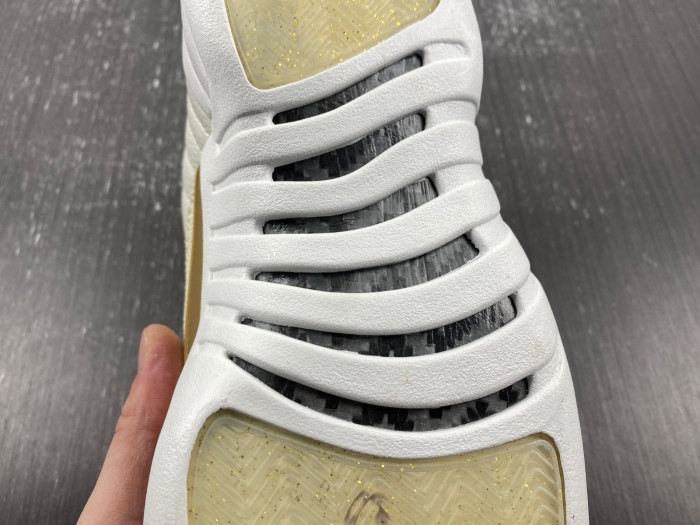 air jordan 12 aj120221