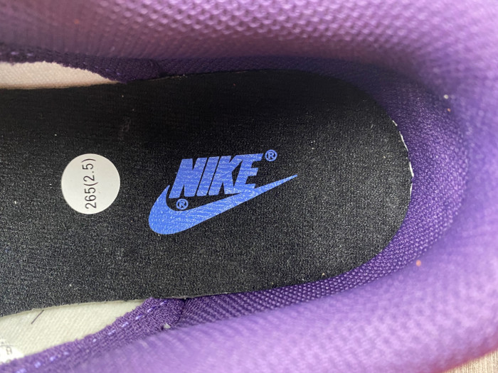 Nike Dunk Low “Chenille Swoosh” DQ7683-100