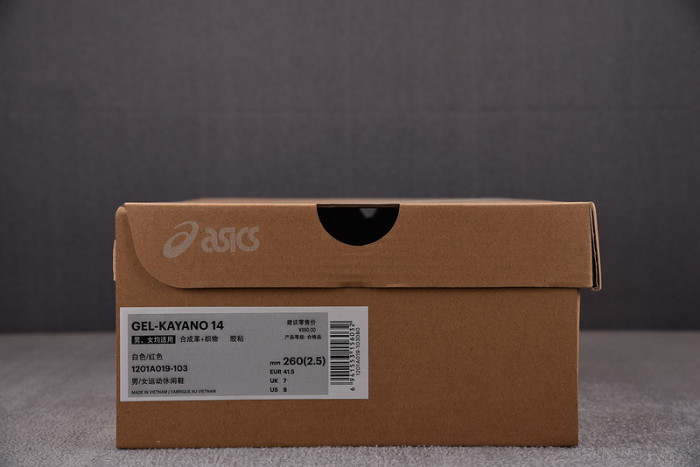 ASICS sneaker 1201A019-115