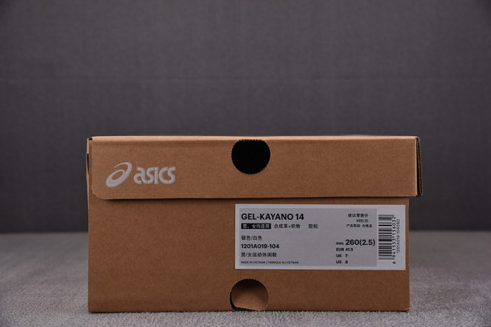 ASICS sneaker 1201A019-121