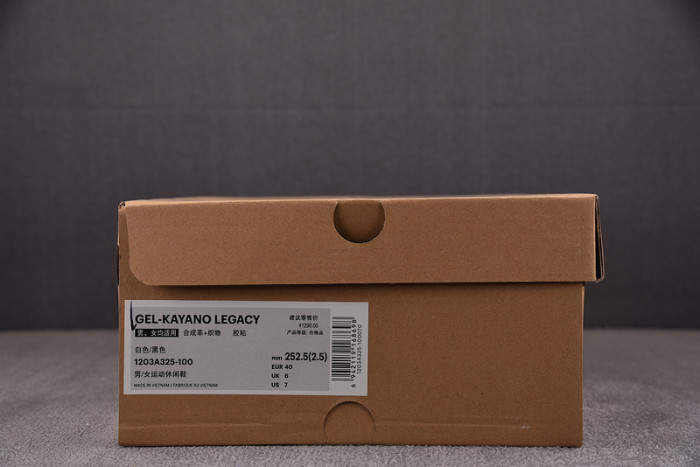 ASICS sneaker 1203A325-100