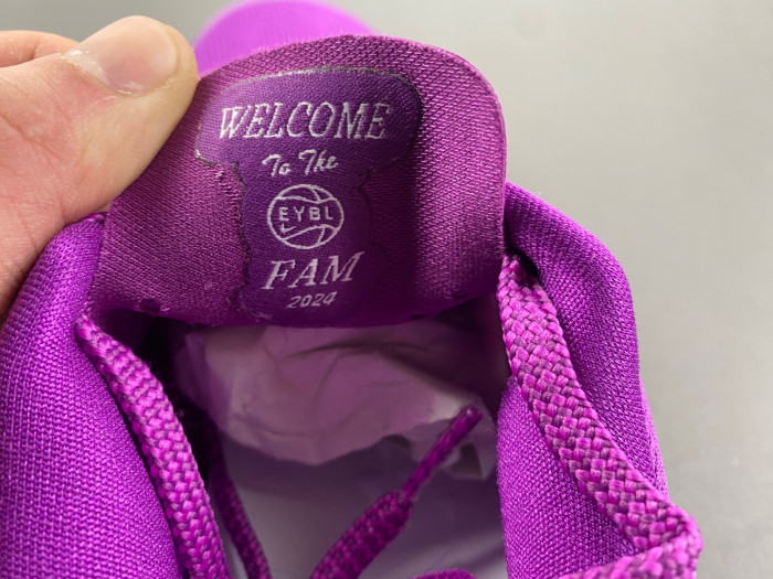 Nike Kobe 8 Protro EYBL HJ7265-500