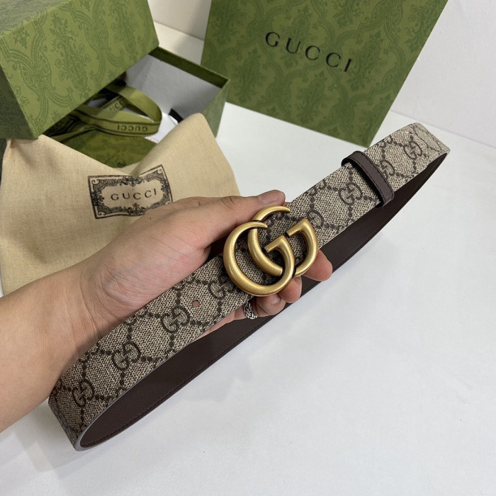 Gv*c* belt Gu 14