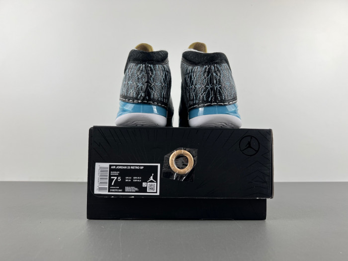 Air Jordan 23 UNC 318376-041